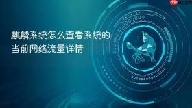 麒麟系统怎么查看系统的当前网络流量详情