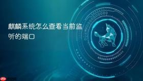 麒麟系统怎么查看当前监听的端口