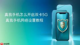 真我手机怎么开启双卡5g 真我手机网络设置教程