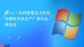 win11 如何查看显卡的显存颗粒具体生产厂家和品牌信息