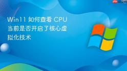 Win11 如何查看 CPU 当前是否开启了核心虚拟化技术