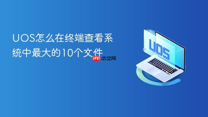 uos怎么在终端查看系统中最大的10个文件