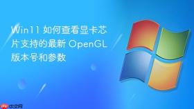Win11 如何查看显卡芯片支持的最新 OpenGL 版本号和参数