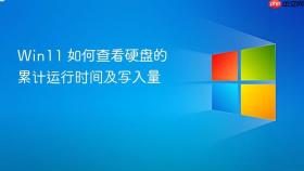 Win11 如何查看硬盘的累计运行时间及写入量