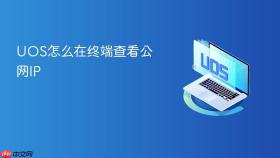 UOS怎么在终端查看公网IP