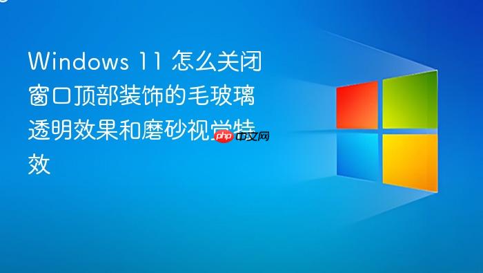 windows 11 怎么关闭窗口顶部装饰的毛玻璃透明效果和磨砂视觉特效