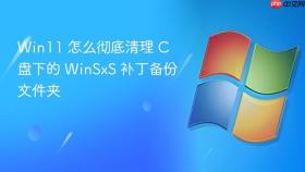 win11 怎么彻底清理 c 盘下的 winsxs 补丁备份文件夹