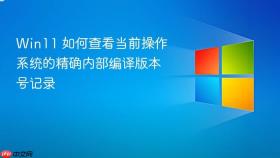 win11 如何查看当前操作系统的精确内部编译版本号记录