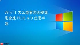 win11 怎么查看固态硬盘是全速 pcie 4.0 还是半速