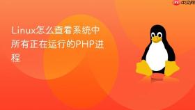 linux怎么查看系统中所有正在运行的php进程