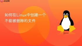 如何在linux中创建一个不能被删除的文件