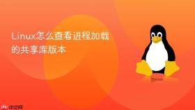 linux怎么查看进程加载的共享库版本