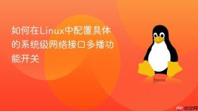 如何在linux中配置具体的系统级网络接口多播功能开关
