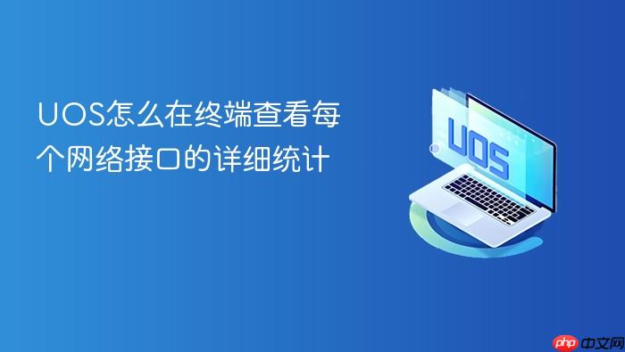 uos怎么在终端查看每个网络接口的详细统计