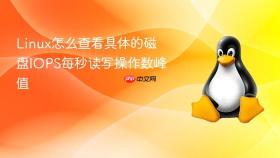 Linux怎么查看具体的磁盘IOPS每秒读写操作数峰值