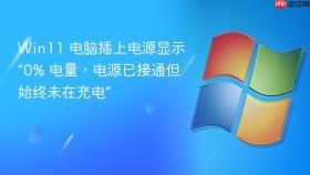 win11 电脑插上电源显示“0% 电量,电源已接通但始终未在充电”