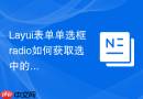 Layui表单单选框radio如何获取选中的值