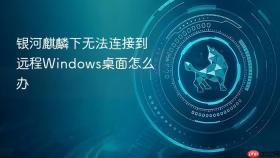 银河麒麟下无法连接到远程Windows桌面怎么办