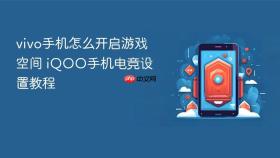 vivo手机怎么开启游戏空间 iQOO手机电竞设置教程