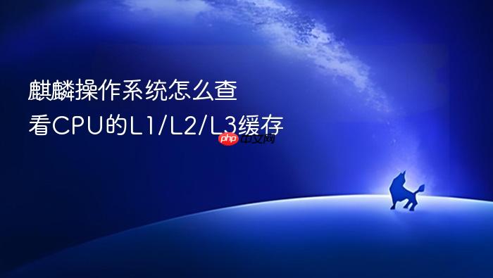 麒麟操作系统怎么查看cpu的l1/l2/l3缓存