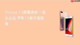 iphone 13屏幕亮度一直自动变 苹果13感光器校准