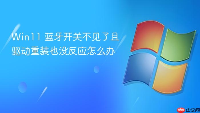 win11 蓝牙开关不见了且驱动重装也没反应怎么办