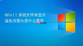 win11 系统文件夹显示蓝色双箭头是什么意思