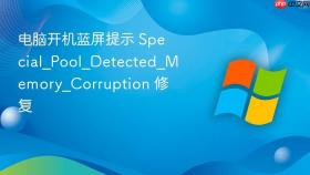 电脑开机蓝屏提示 special_pool_detected_memory_corruption 修复