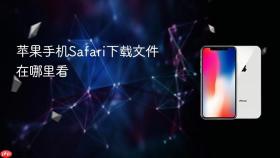 苹果手机Safari下载文件在哪里看
