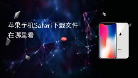 苹果手机safari下载文件在哪里看