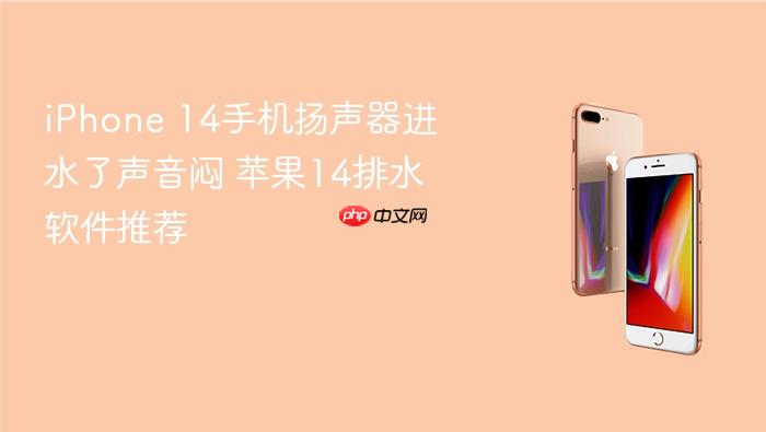 iphone 14手机扬声器进水了声音闷 苹果14排水软件推荐