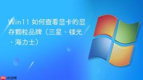 Win11 如何查看显卡的显存颗粒品牌（三星、镁光、海力士）