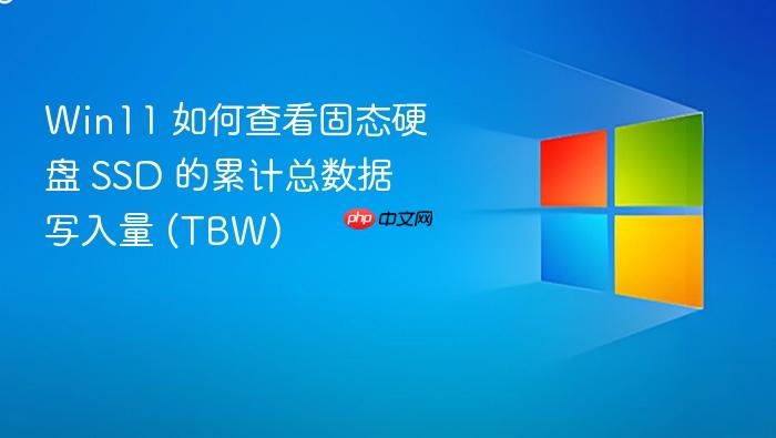 win11 如何查看固态硬盘 ssd 的累计总数据写入量 (tbw)