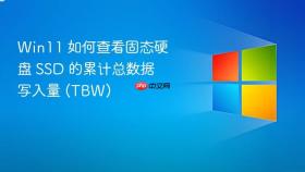 win11 如何查看固态硬盘 ssd 的累计总数据写入量 (tbw)