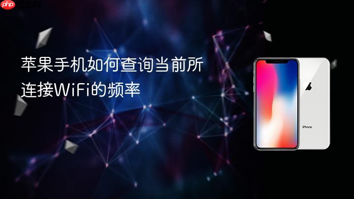 苹果手机如何查询当前所连接wifi的频率