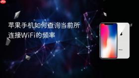 苹果手机如何查询当前所连接wifi的频率