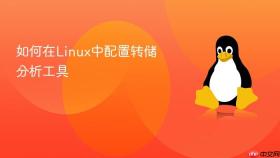 如何在linux中配置转储分析工具