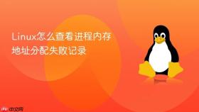 linux怎么查看进程内存地址分配失败记录