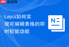 Layui如何实现可编辑表格的即时校验功能