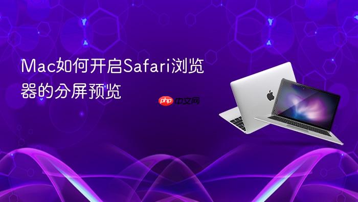 mac如何开启safari浏览器的分屏预览