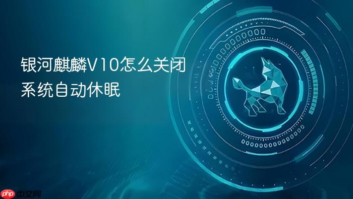 银河麒麟v10怎么关闭系统自动休眠