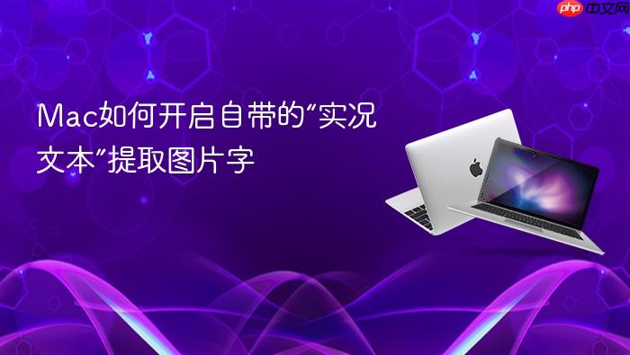 mac如何开启自带的“实况文本”提取图片字
