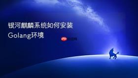 银河麒麟系统如何安装Golang环境