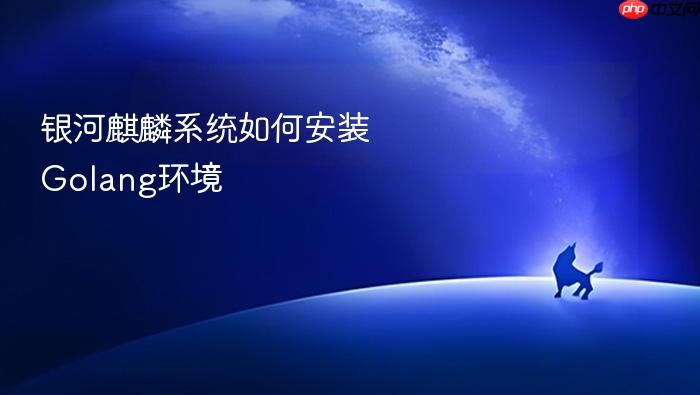 银河麒麟系统如何安装golang环境