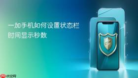 一加手机如何设置状态栏时间显示秒数