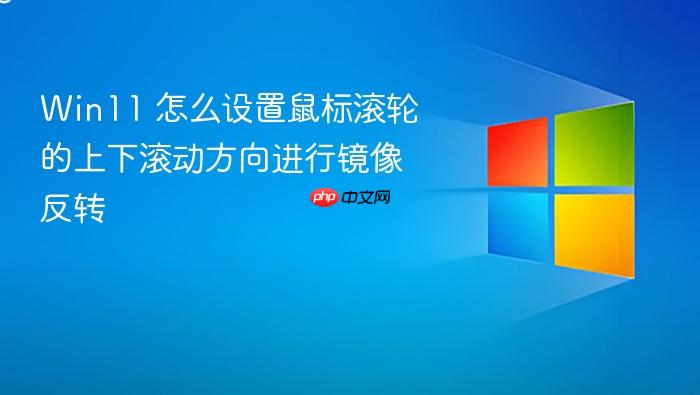 win11 怎么设置鼠标滚轮的上下滚动方向进行镜像反转