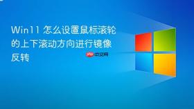 win11 怎么设置鼠标滚轮的上下滚动方向进行镜像反转