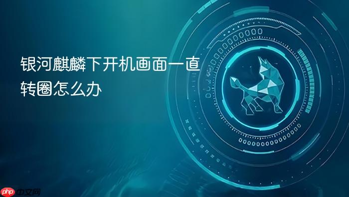 银河麒麟下开机画面一直转圈怎么办
