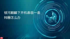 银河麒麟下开机画面一直转圈怎么办