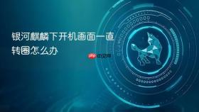 银河麒麟下开机画面一直转圈怎么办